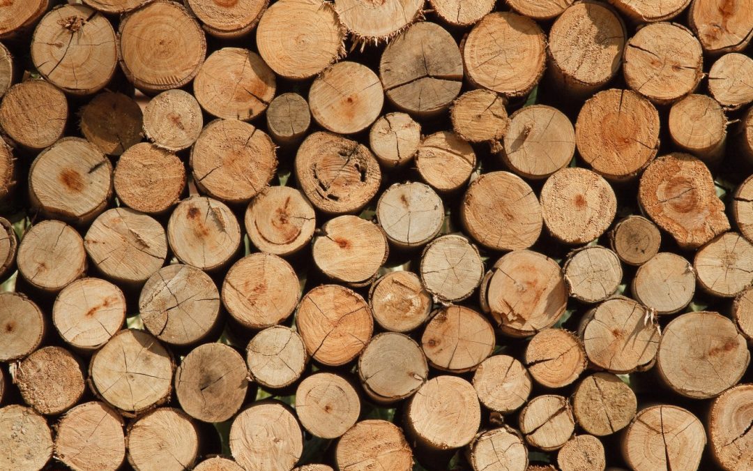 Quelles différences entre bois massif, aggloméré et contreplaqué ?