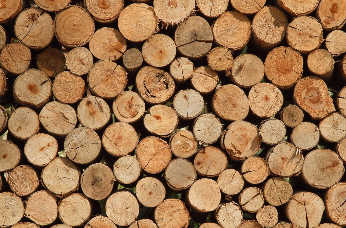 Quelles différences entre bois massif, aggloméré et contreplaqué